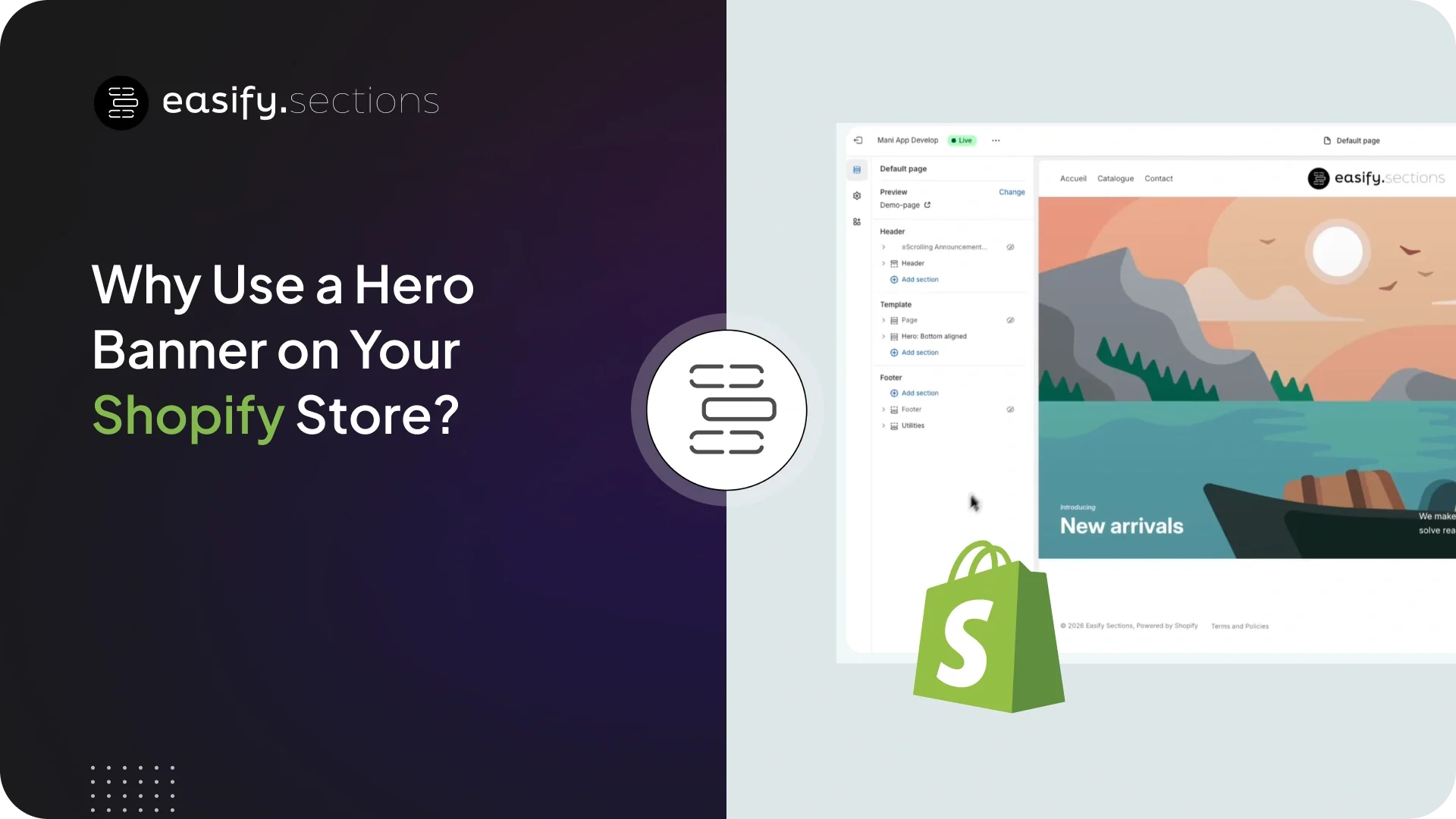 Why Use a Hero Banner on Your Shopify Store?